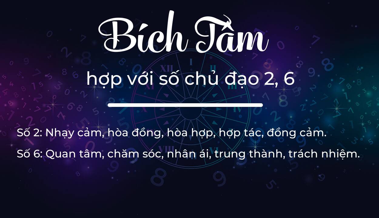 Tên Bích Tâm hợp với người có số chủ đạo 2, 6