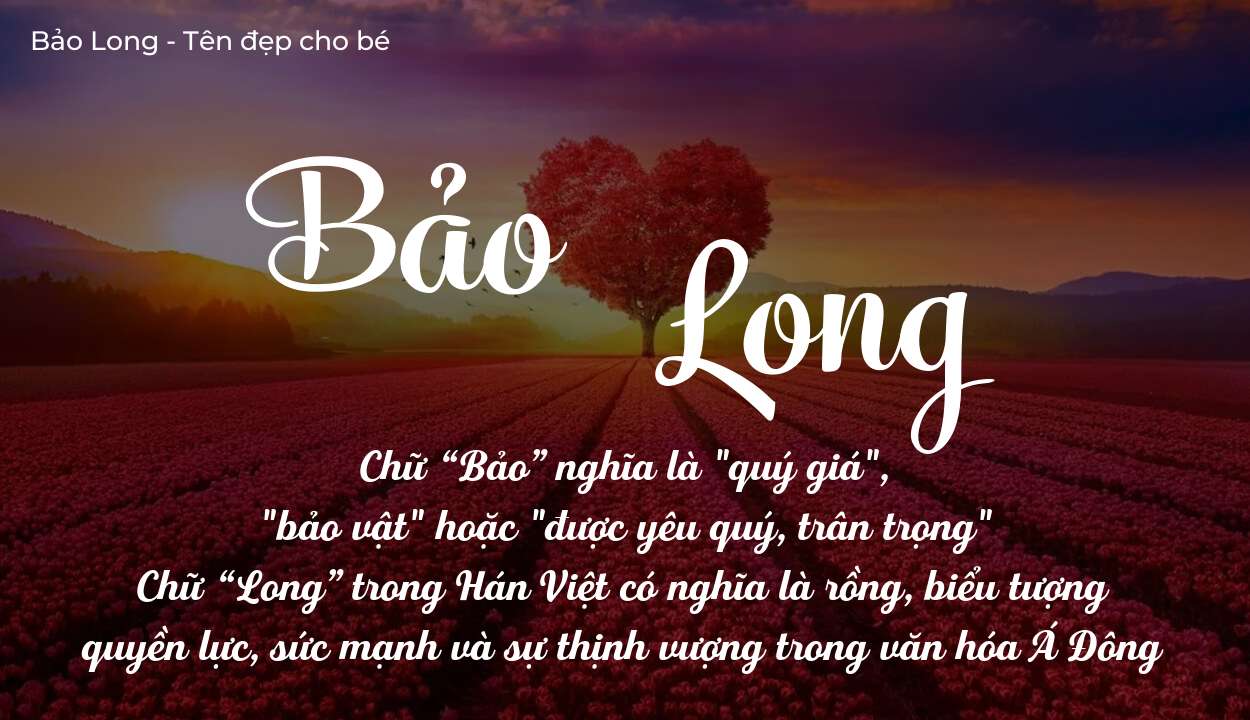 Ý Nghĩa Tên Bảo Long Và Lý Do Cha Mẹ Nên Chọn Đặt Cho Con