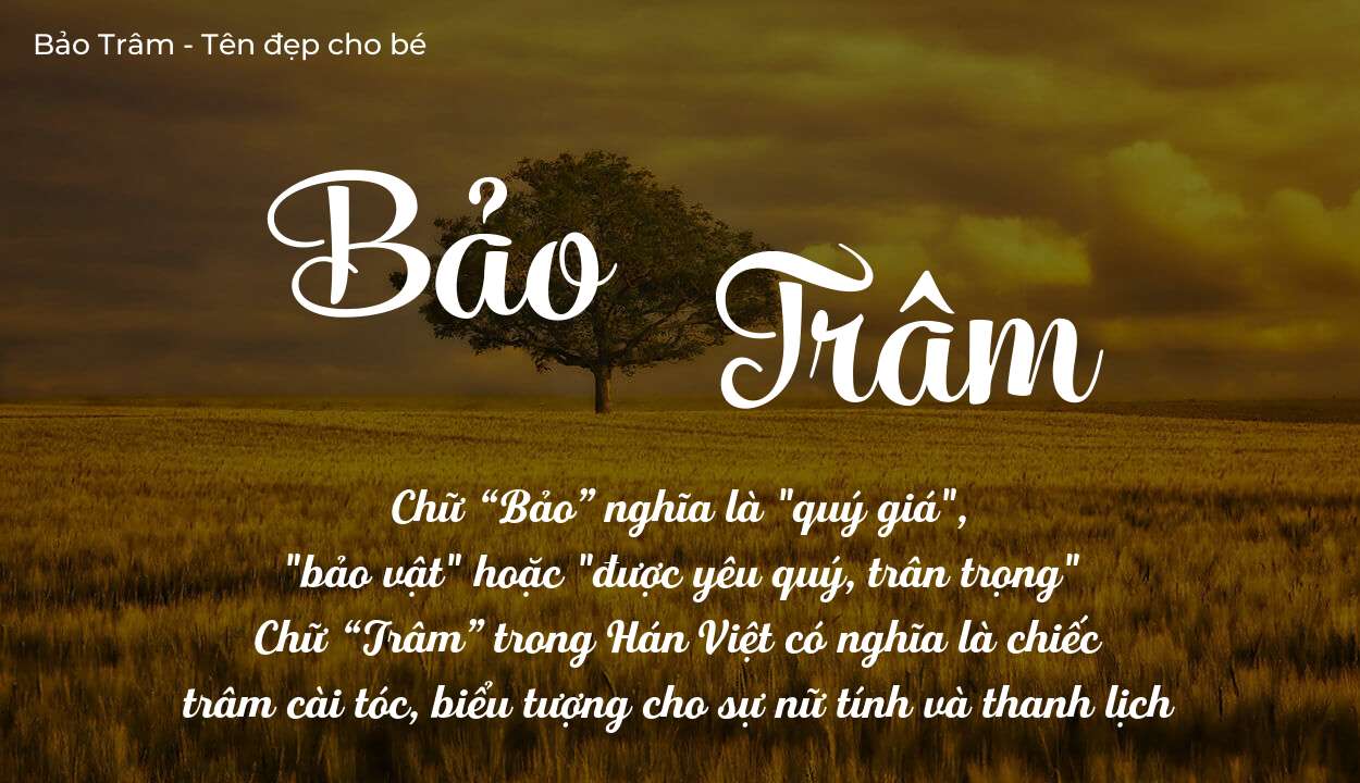 Khám phá ý nghĩa tên Bảo Trâm, các điều bất ngờ bạn chưa biết