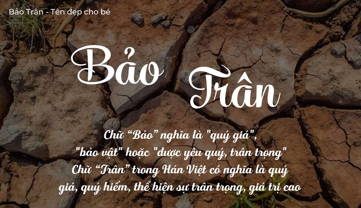 Ý Nghĩa Tên Bảo Trân Cách Đặt Tên Cho Con Hợp Mệnh
