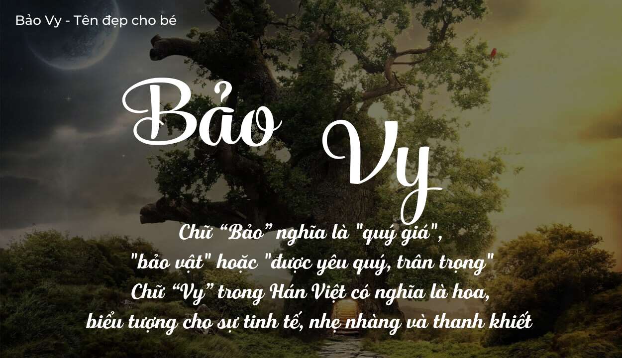 Ý Nghĩa Tên Bảo Vy Qua Con Số Chủ Đạo Trong Thần Số Học