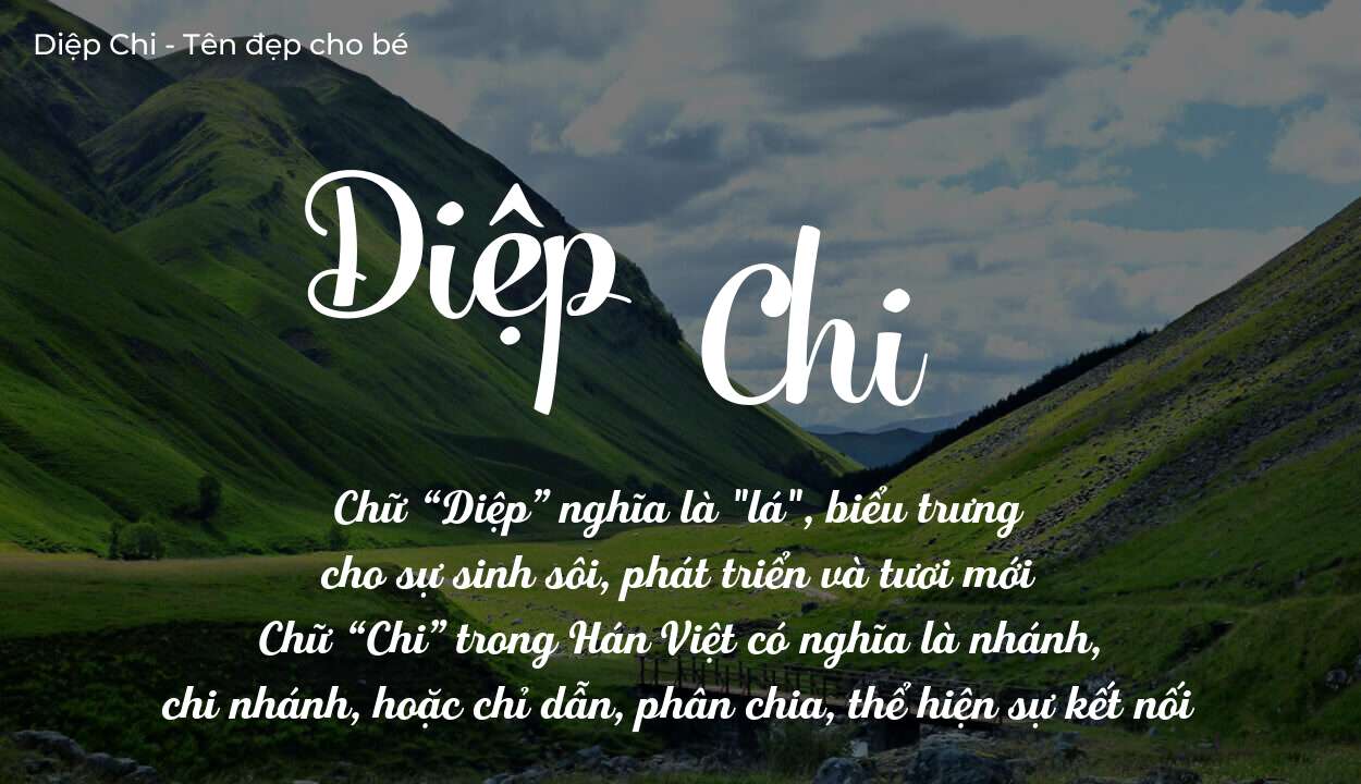 Ý Nghĩa Tên Diệp Chi Có Mang Lại Bình An Và Thịnh Vượng Không