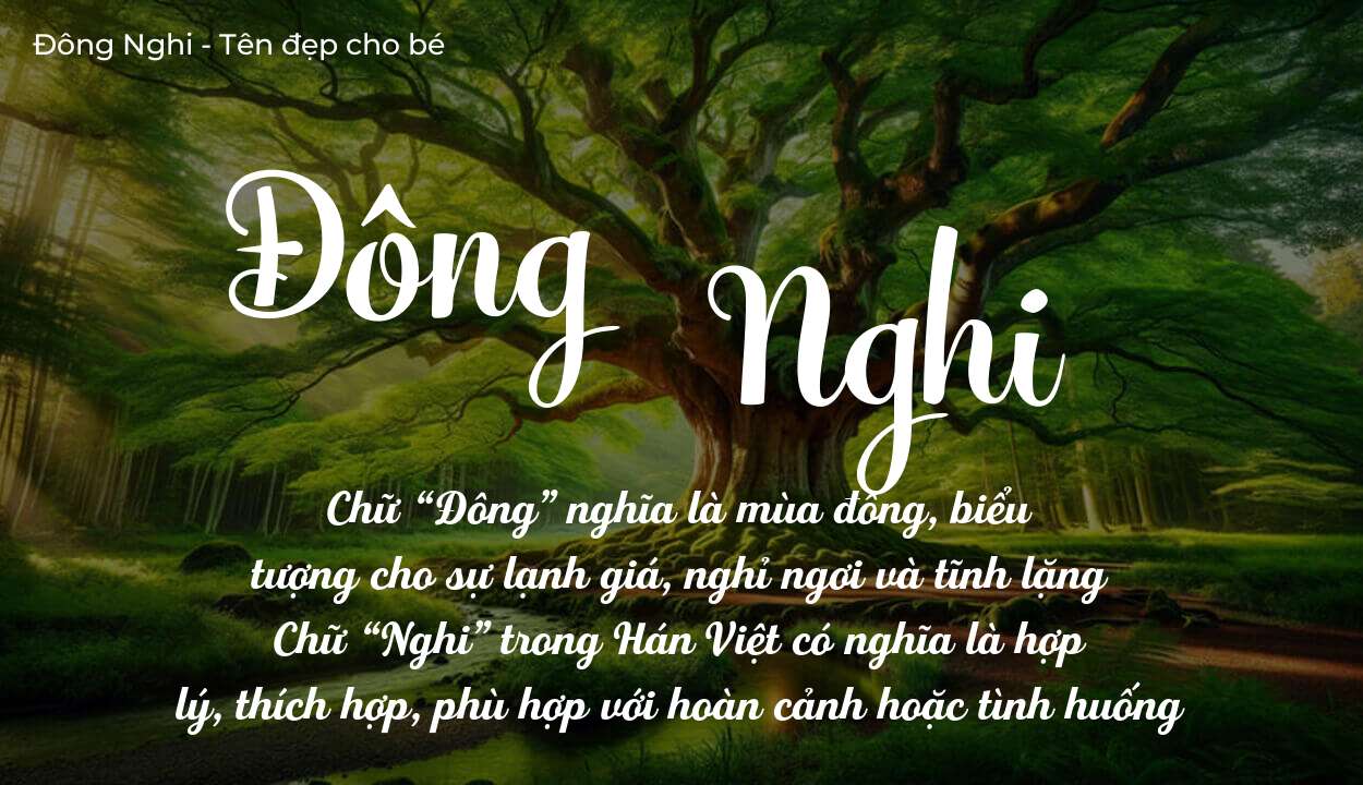 Khám Phá Ý Nghĩa Tên Đông Nghi Trong Đời Sống Và Sự Nghiệp
