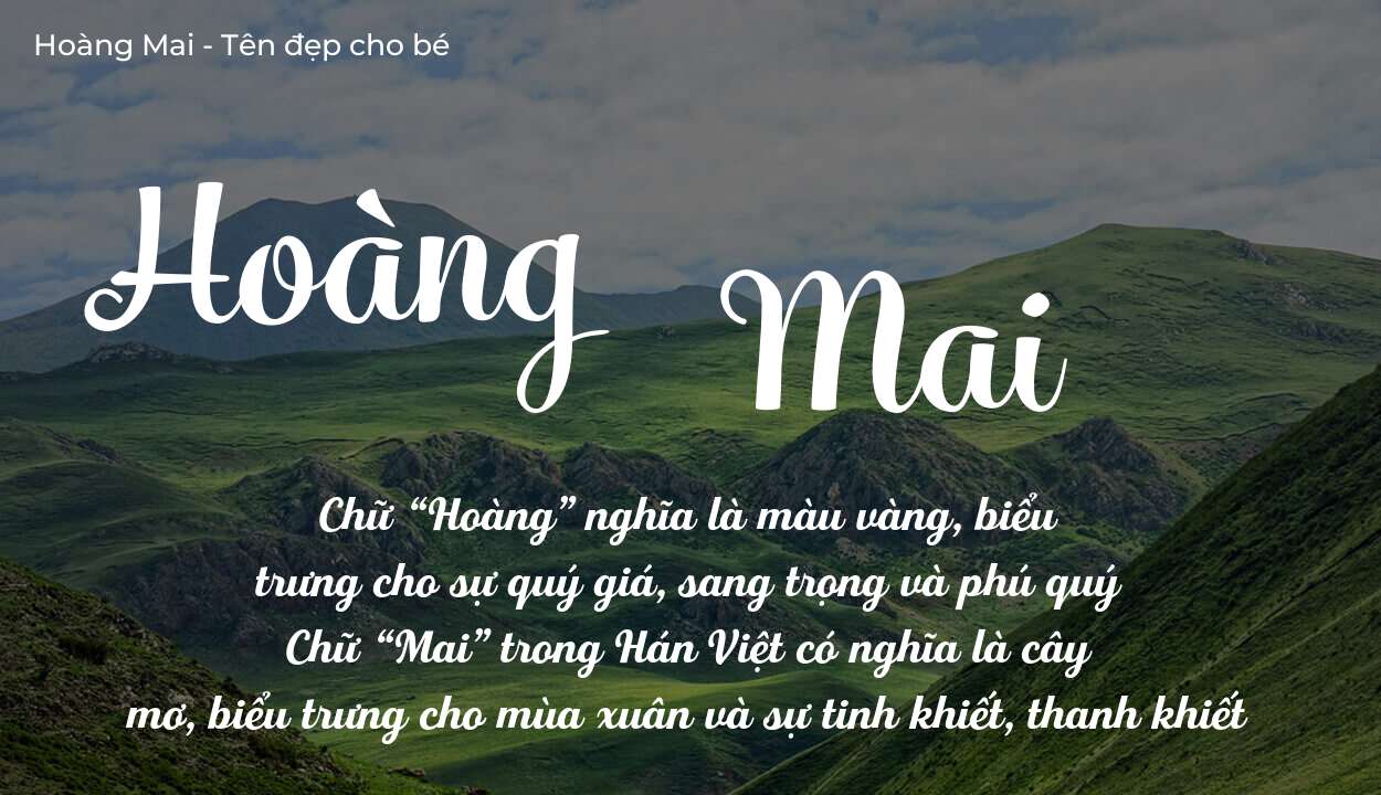 Ý Nghĩa Tên Hoàng Mai Trong Phong Thủy Ngũ Hành Và Sự May Mắn