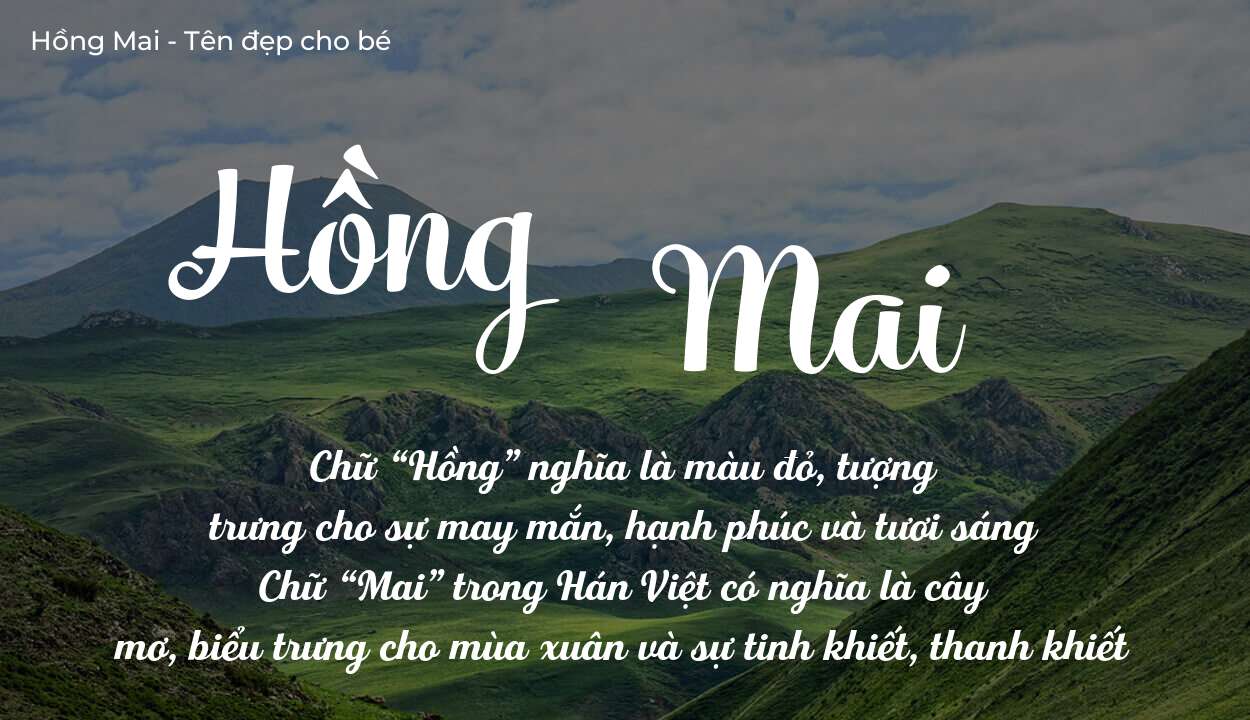 Thần Số Học Hé Lộ Ý Nghĩa Tên Hồng Mai Và Con Số Chủ Đạo