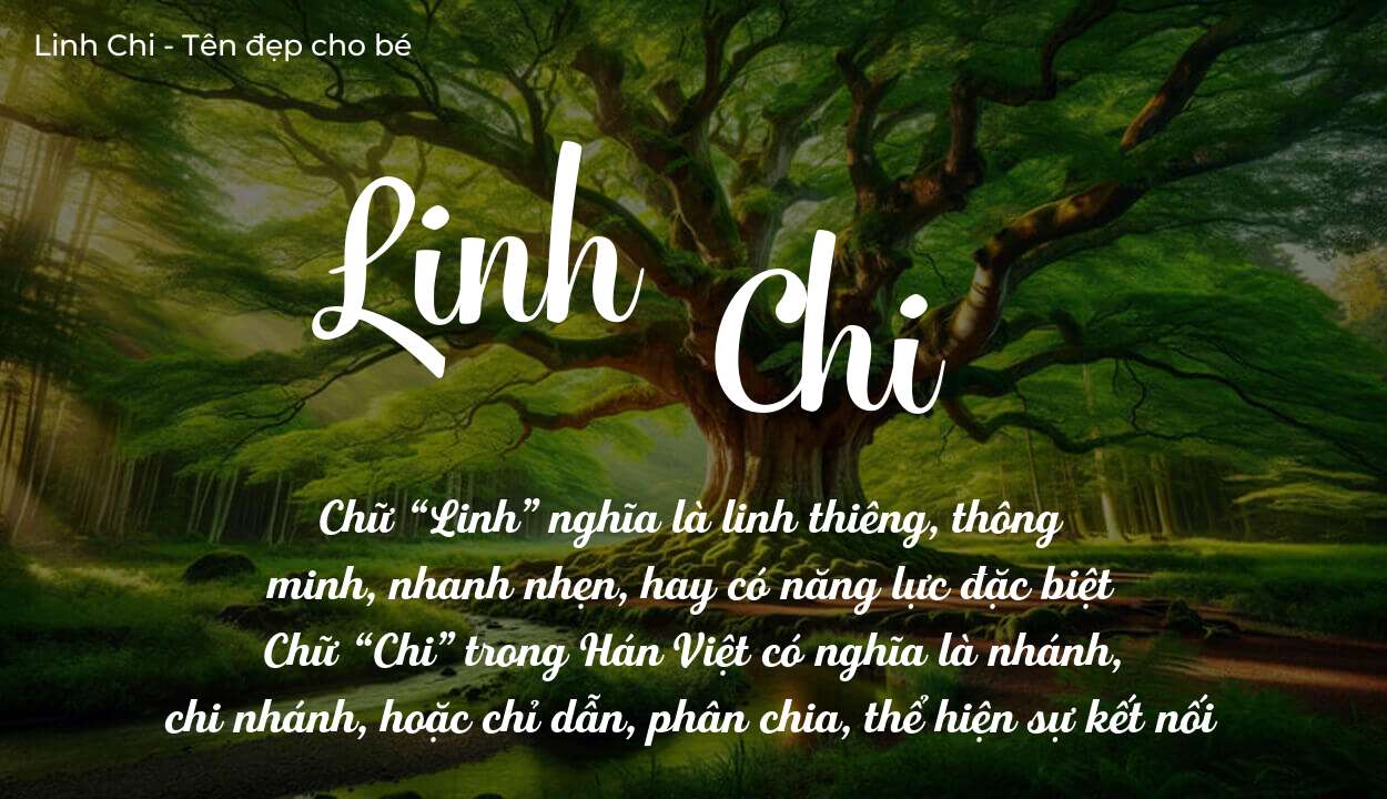 Khám Phá Ý Nghĩa Tên Linh Chi Trong Cuộc Sống Hiện Đại
