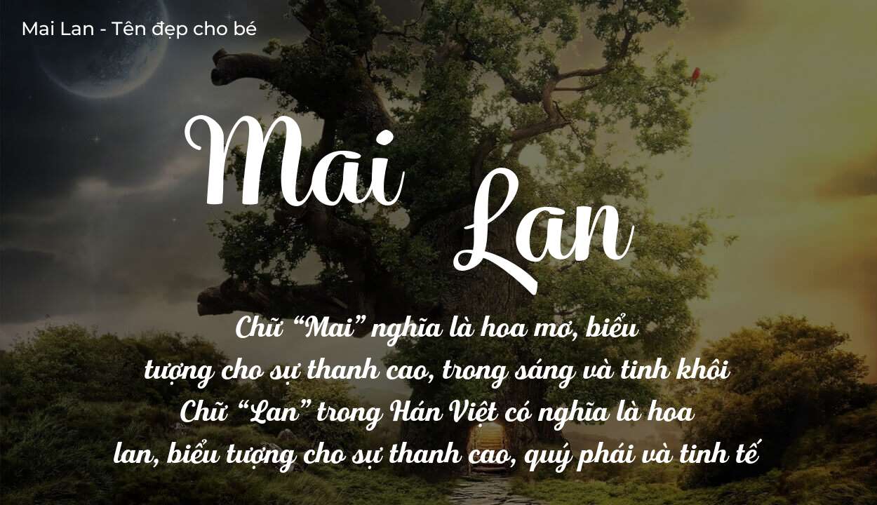 Ý Nghĩa Tên Mai Lan Và Tính Cách Người Mang Tên Này