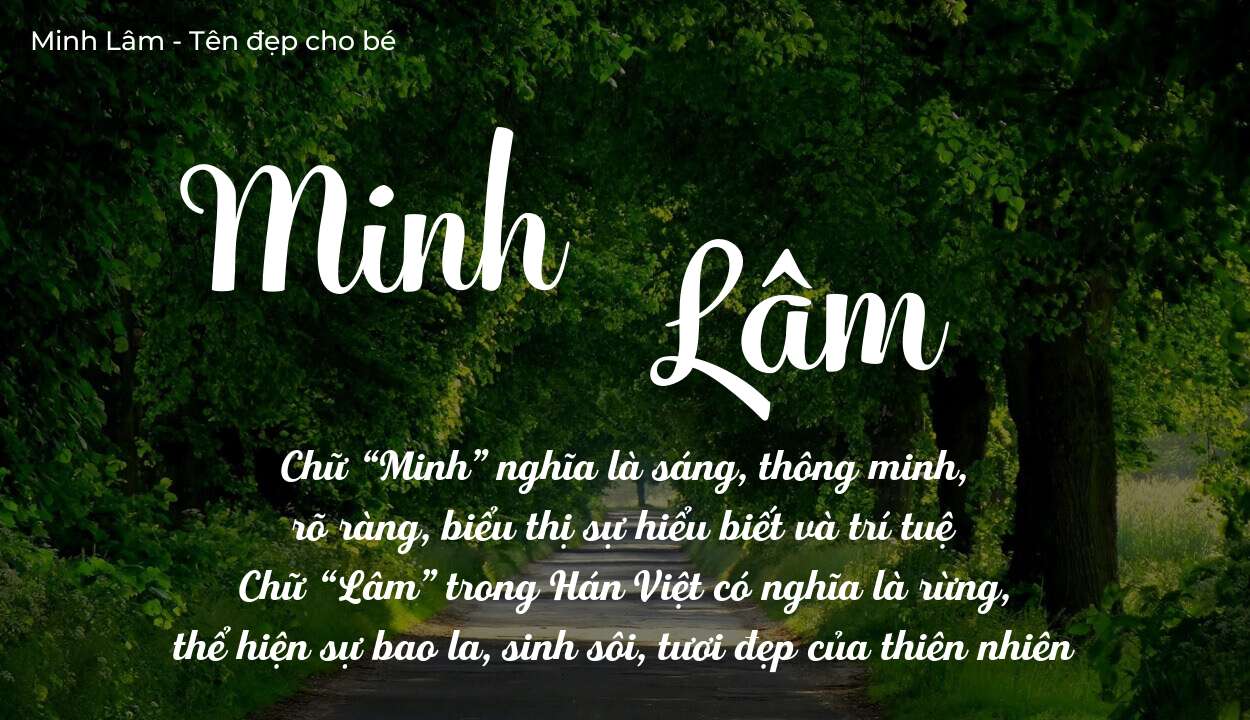 Giải Mã Ý Nghĩa Tên Minh Lâm Theo Ngũ Hành Phong Thủy