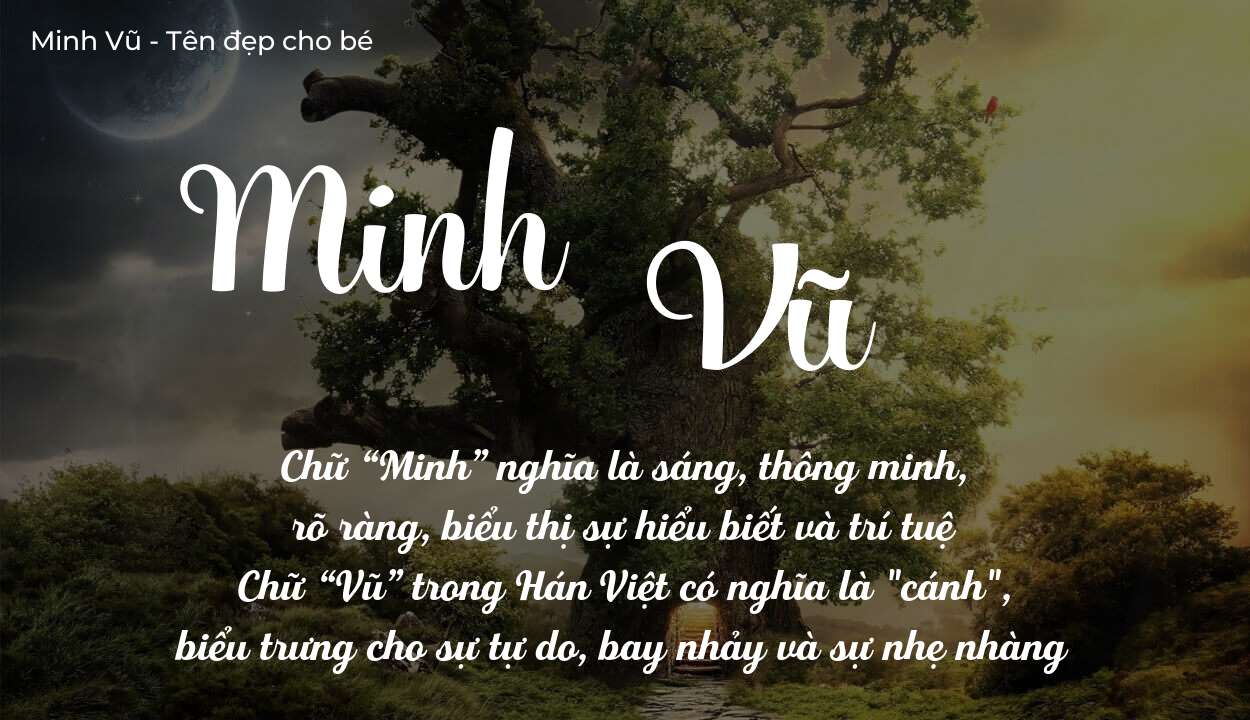 Ý Nghĩa Tên Minh Vũ Mang Lại Điều Gì Cho Cuộc Đời của bé