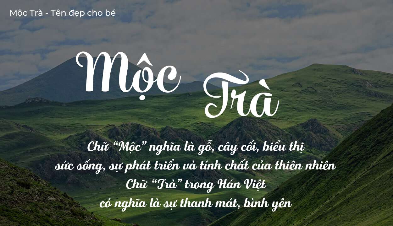 Ý Nghĩa Tên Mộc Trà Và Bí Quyết Đặt Tên Hợp Phong Thủy