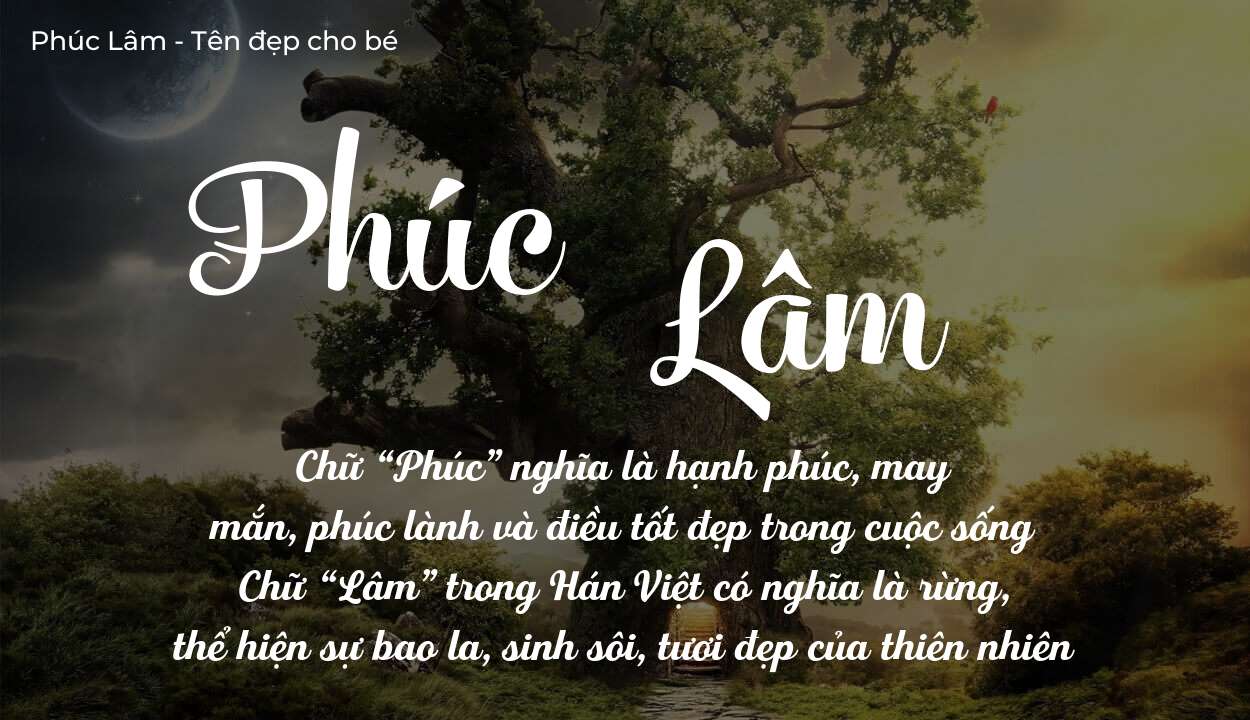 Ý Nghĩa Tên Phúc Lâm Có Giúp Bé Trở Nên Tự Tin Không