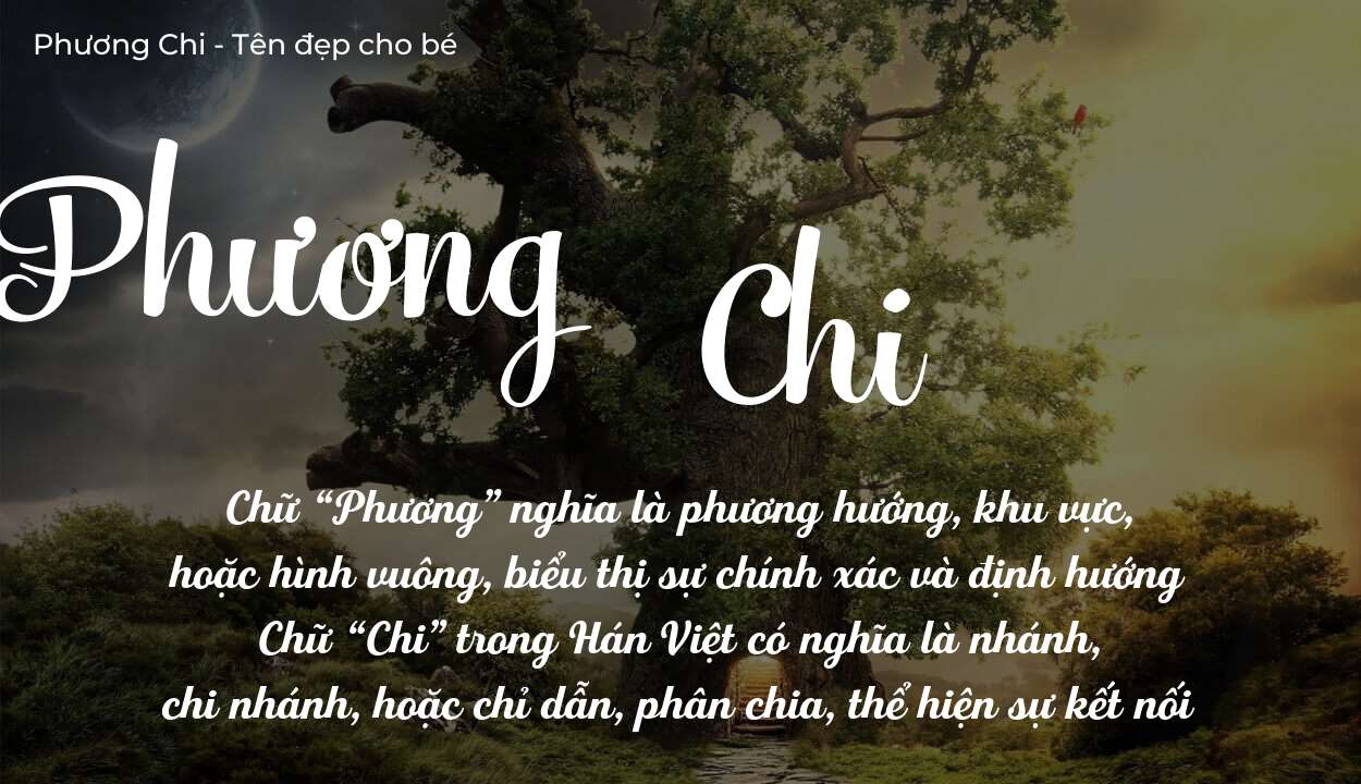 Ý Nghĩa Tên Phương Chi Có Mang Lại Tương Lai Tươi Sáng Không