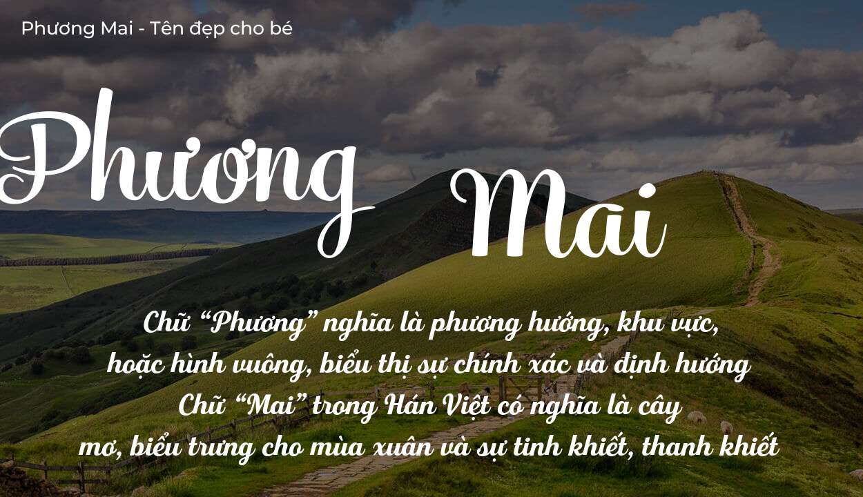 Ý Nghĩa Tên Phương Mai Và Ảnh Hưởng Gì Đến Cuộc Đời Chủ Nhân