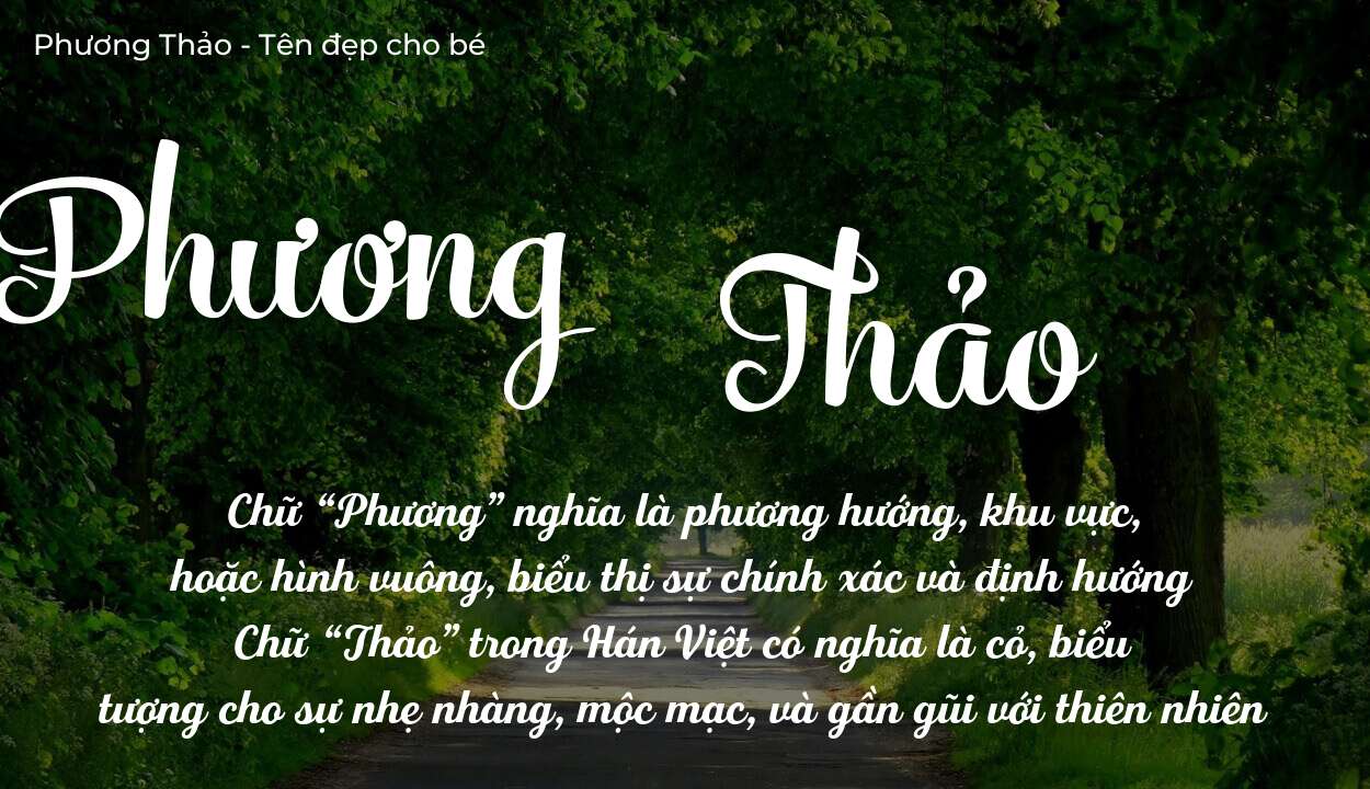 Tên Phương Thảo Có Ý Nghĩa Gì Trong Sự Nghiệp Và Công Việc