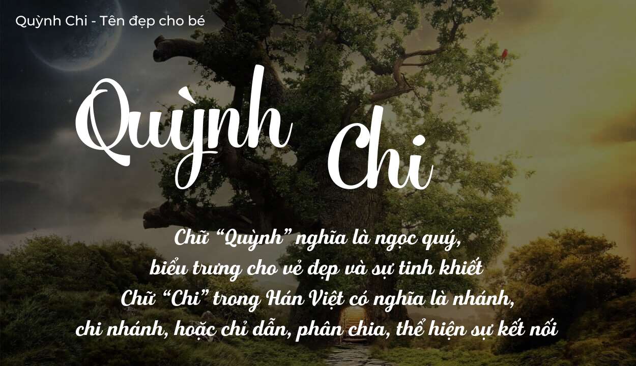 Ý Nghĩa Tên Quỳnh Chi Khi Đặt Trong Bối Cảnh Gia Đình Việt
