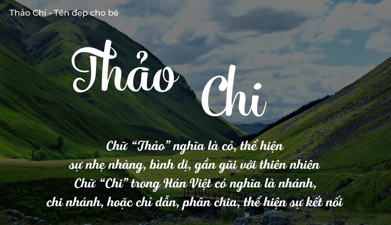 Tên Thảo Chi Có Ý Nghĩa Gì Với Đường Tình Duyên Và Gia Đạo
