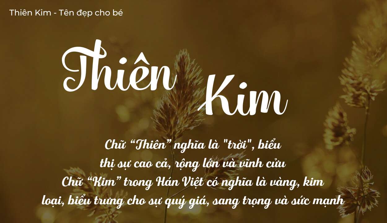 Ý Nghĩa Tên Thiên Kim Qua Góc Nhìn Tử Vi Đông Phương