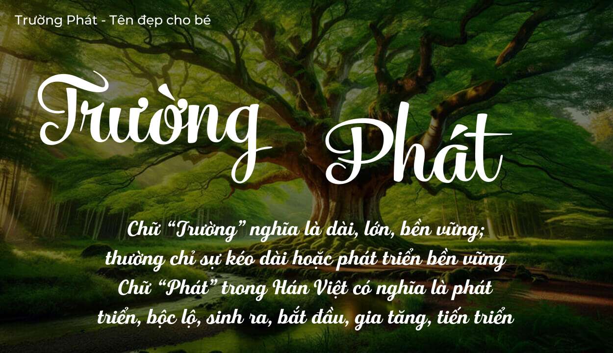 Ý Nghĩa Tên Trường Phát Trong Công Danh Sự Nghiệp