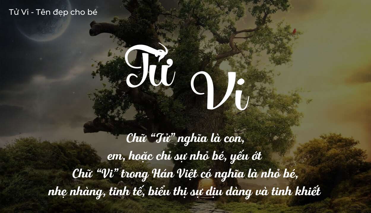 Tên Tử Vi Có Ý Nghĩa Gì Với Công Danh Và Sự Nghiệp