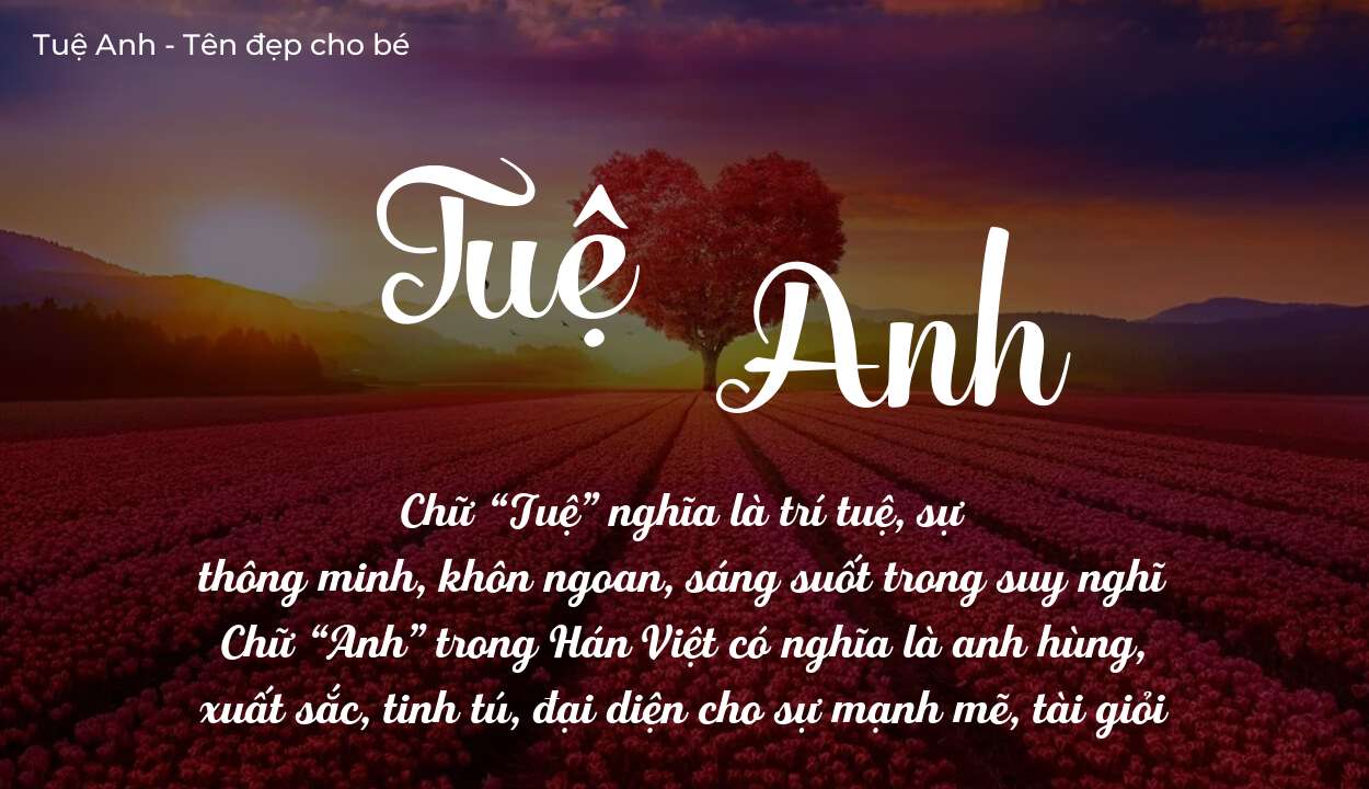 Ý Nghĩa Tên Tuệ Anh Giúp Con Mang Lại Sự Bình Yên