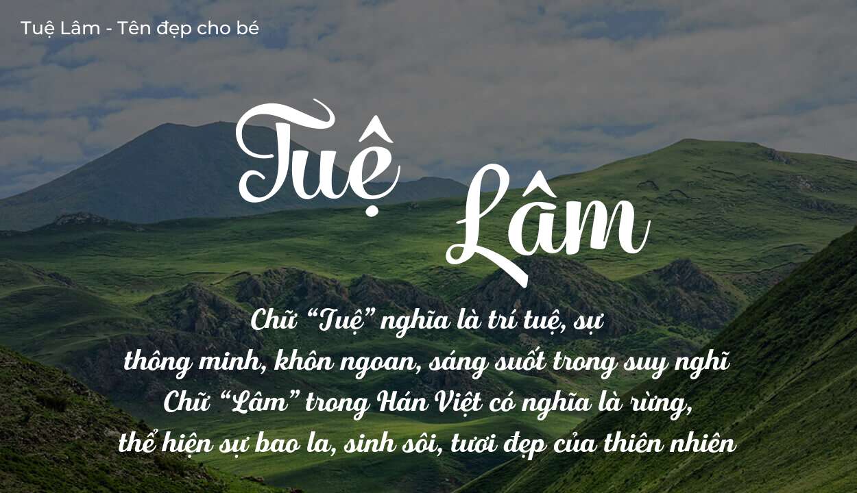 Ý Nghĩa Tên Tuệ Lâm Qua Góc Nhìn Ngũ Hành Và Tử Vi