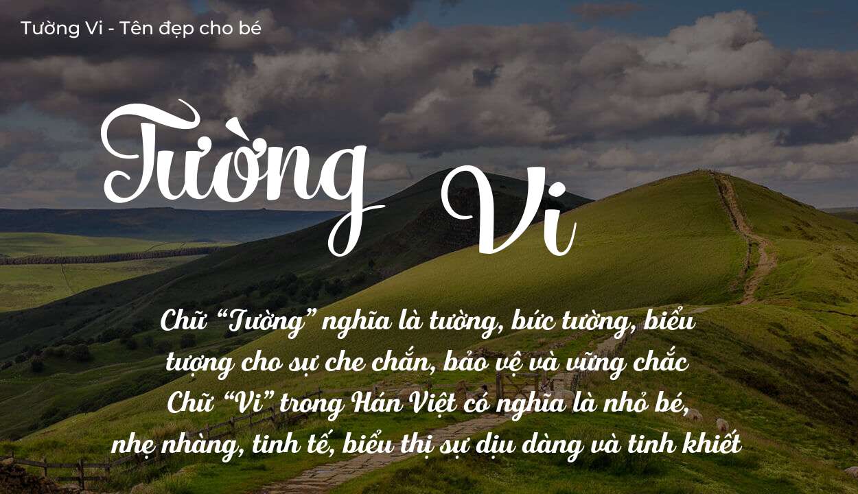 Tên Tường Vi có ý nghĩa gì trong phong thủy và thần số học?
