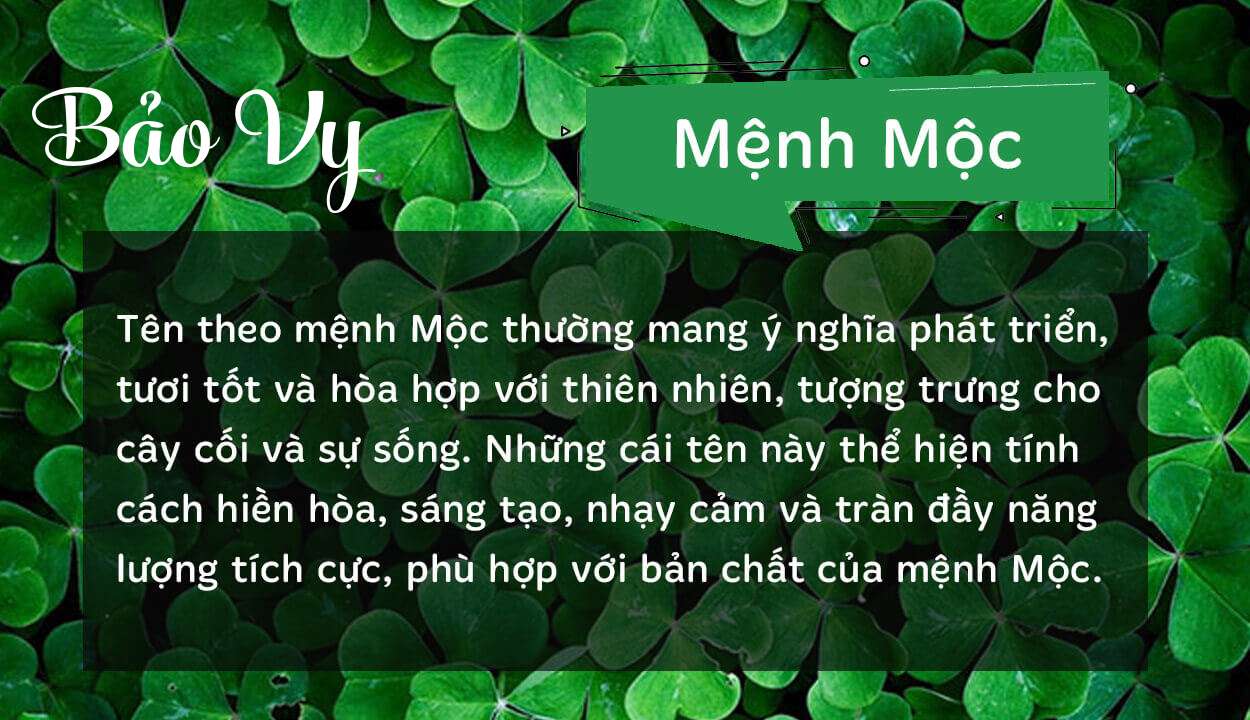 Tên Bảo Vy thuộc hành Mộc