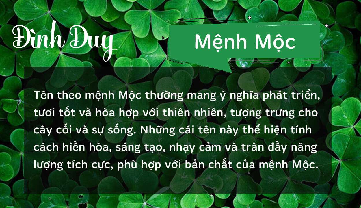 Tên Đình Duy thuộc hành Mộc