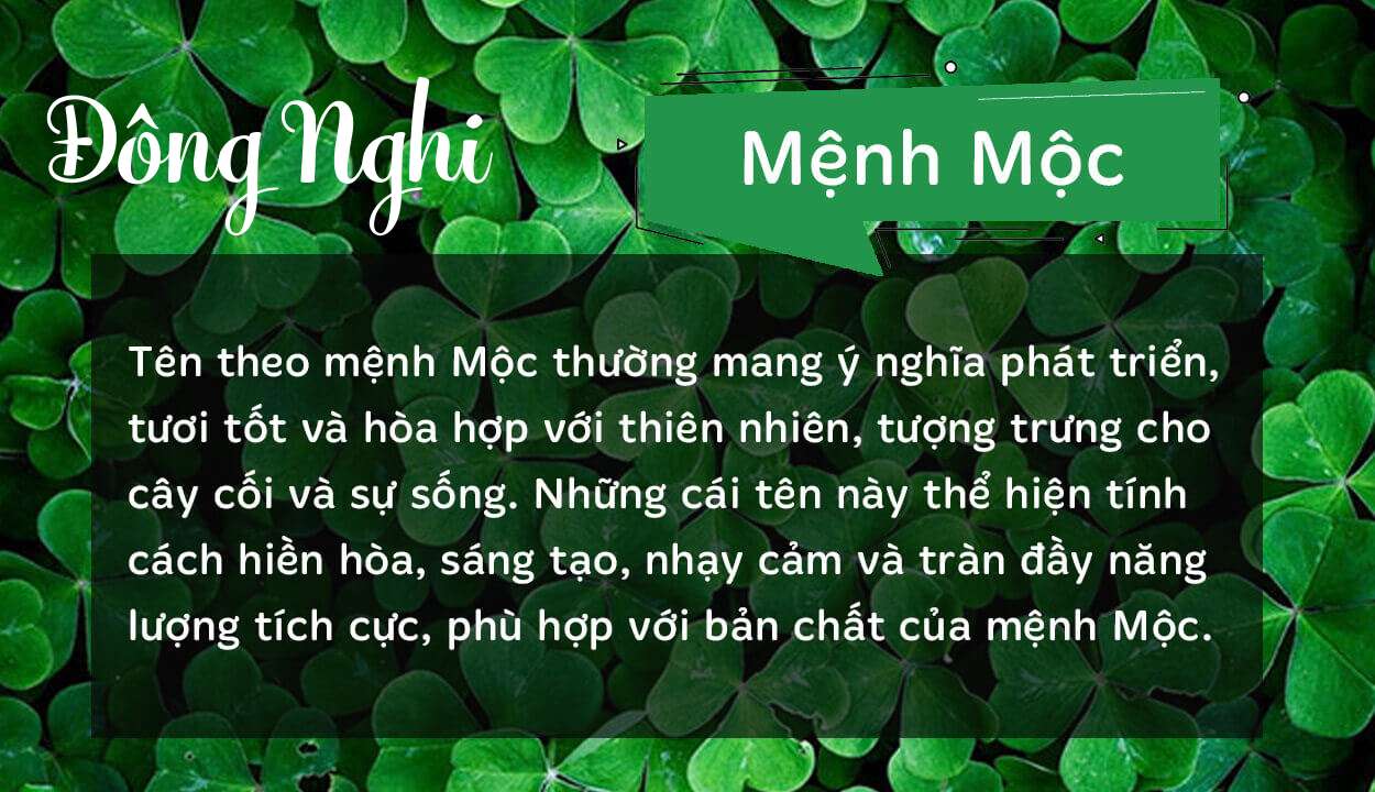 Tên Đông Nghi thuộc hành Mộc