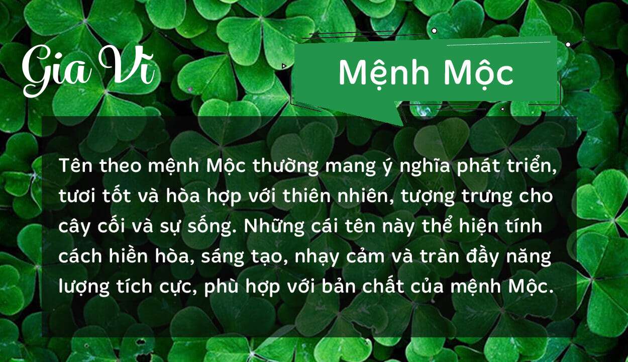 Tên Gia Vĩ thuộc hành Mộc