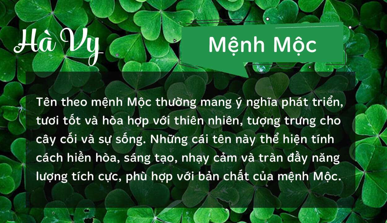 Tên Hà Vy thuộc hành Mộc