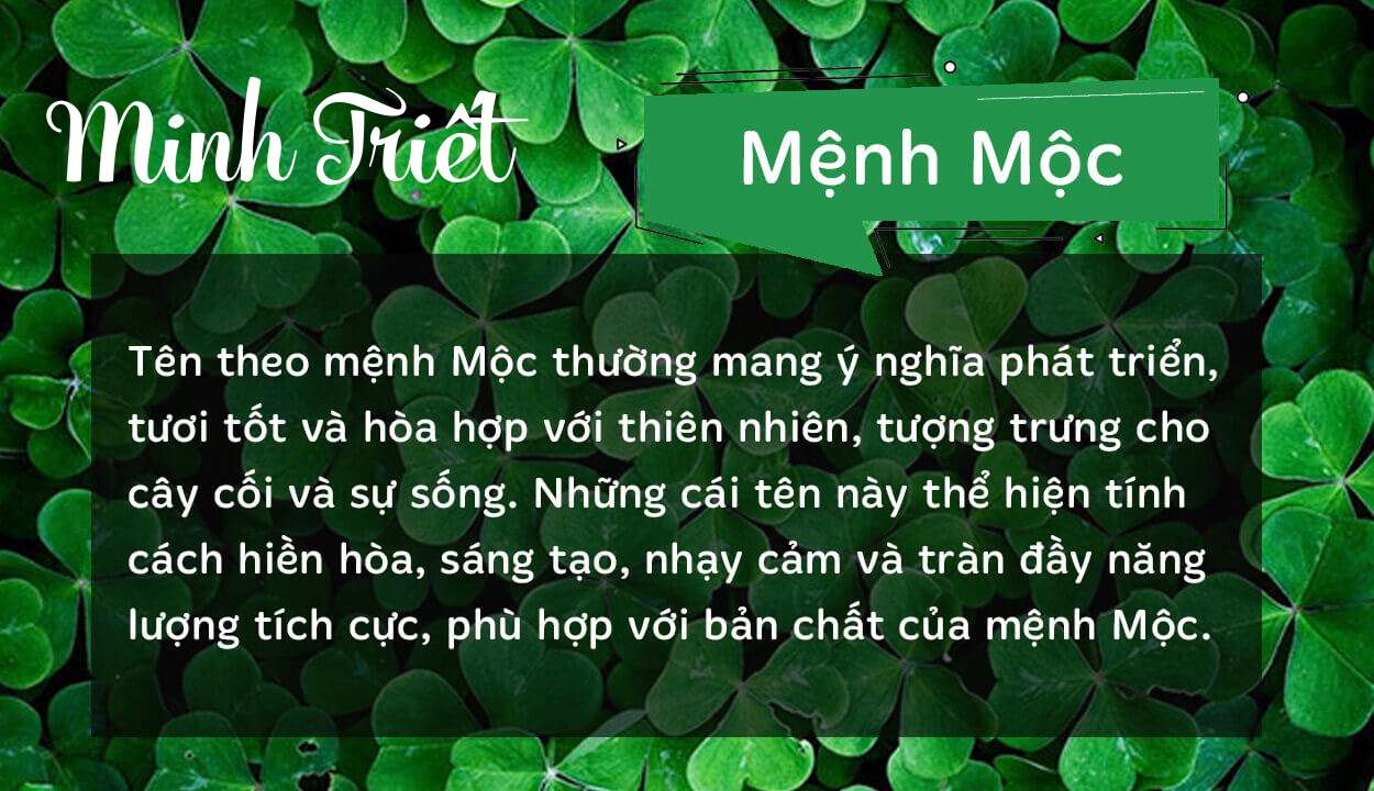 Tên Minh Triết thuộc hành Mộc
