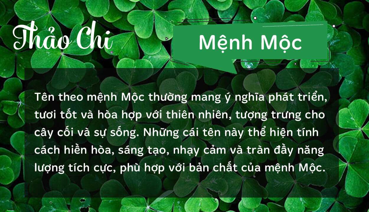 Tên Thảo Chi thuộc hành Mộc