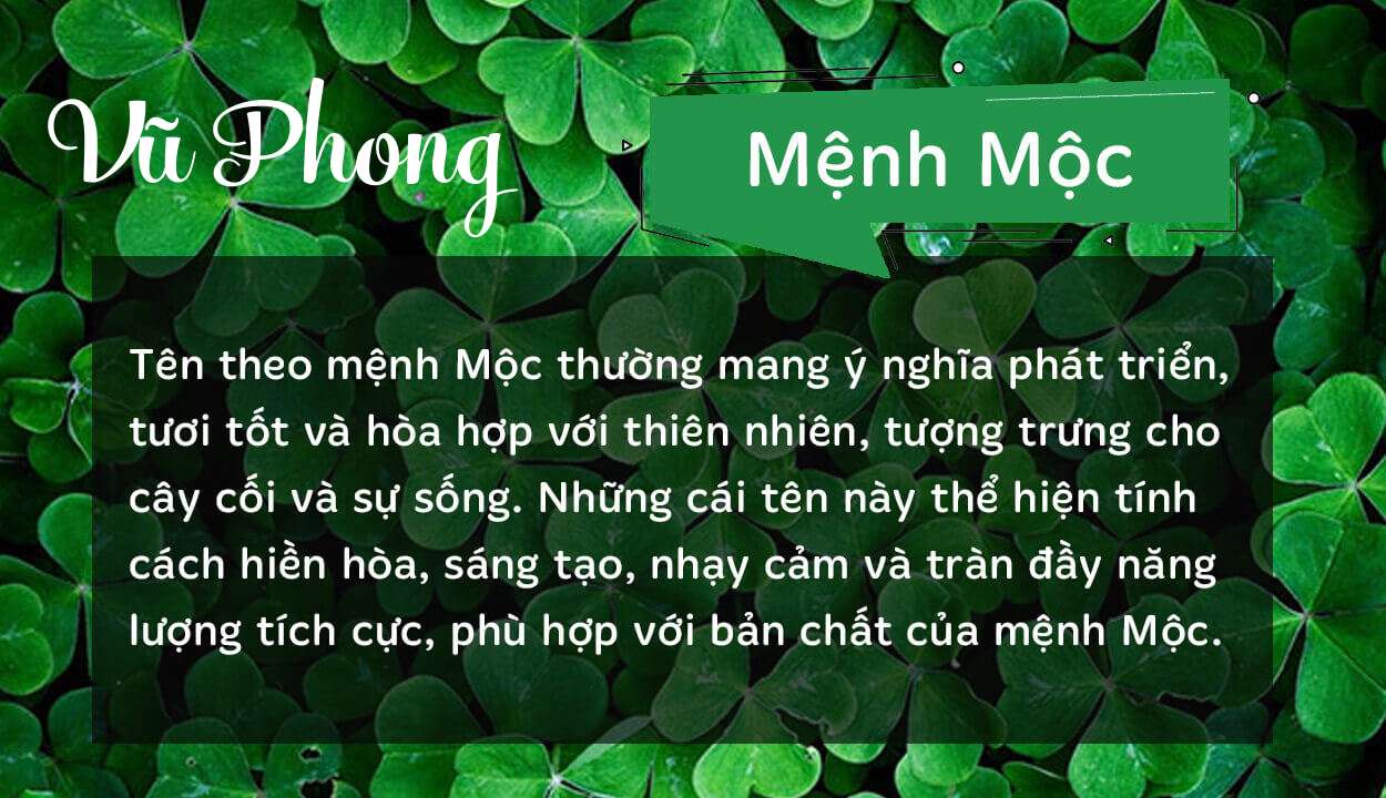 Tên Vũ Phong thuộc hành Mộc